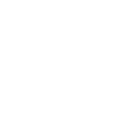 SMP media